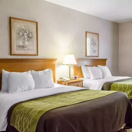 Comfort Inn Huntingdon-3
