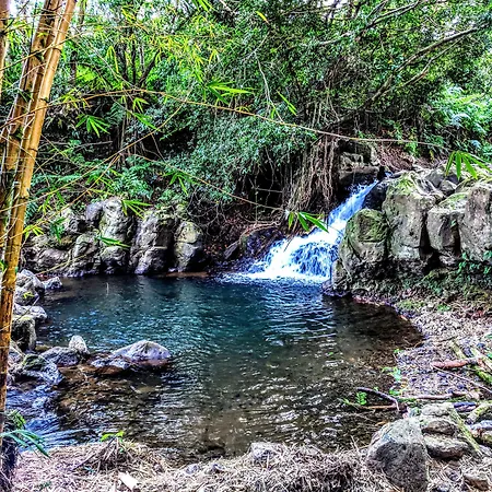 Hamakua Guesthouse-2