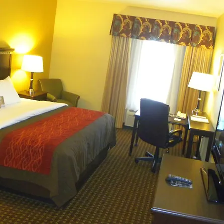 Comfort Inn & Suites Regional Medical Center-3