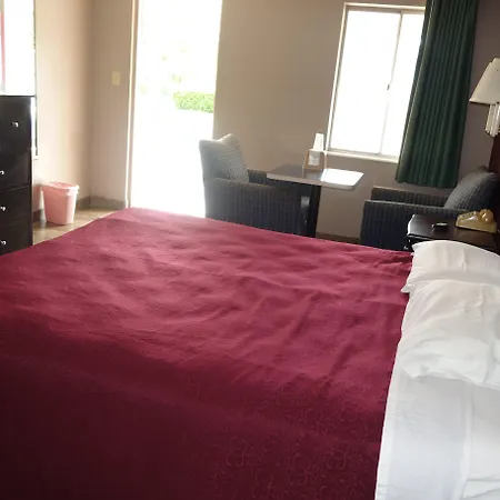 Palm City Motel-2