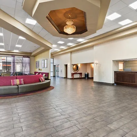 Orlando Palms-3