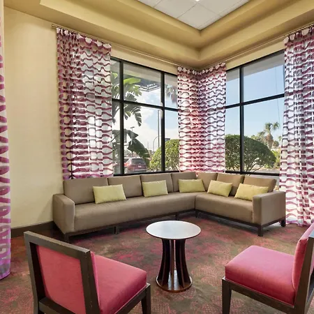 Orlando Palms-2