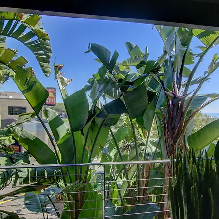 The Malibu Motel-2