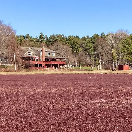 On Cranberry Pond Bed And Breakfast-3