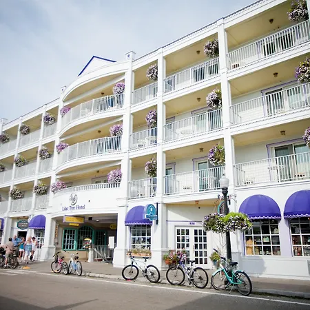 Lilac Tree Suites-2