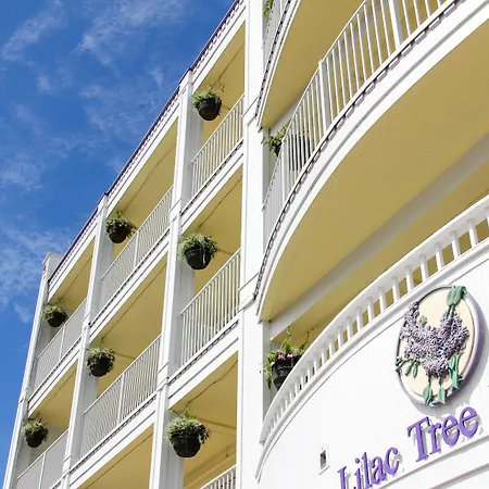 Lilac Tree Suites-3