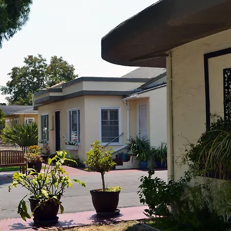 Wittle Motel-2