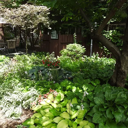 Champaign Garden Inn-2