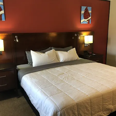 Viking Motel-3