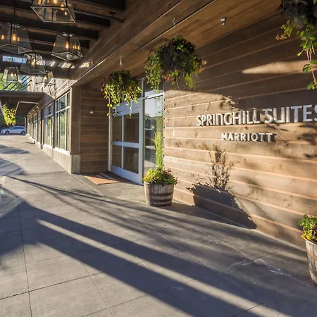 Springhill Suites By Marriott Jackson Hole-3