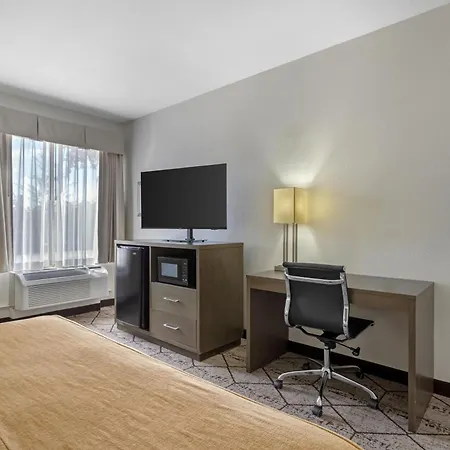 Best Western Plus North Houston Inn & Suites-3
