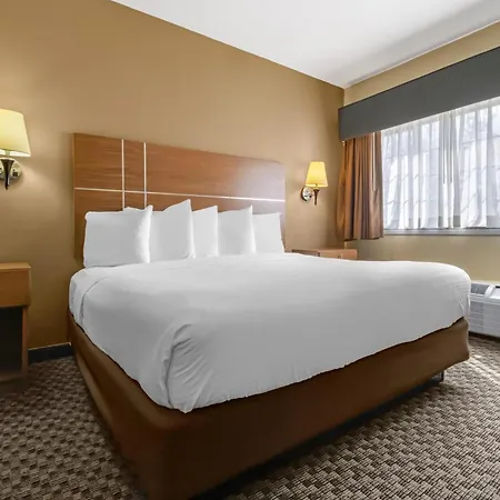 Best Western Plus Shamrock Inn & Suites-3