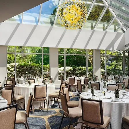 Hilton Mclean Tysons Corner-2