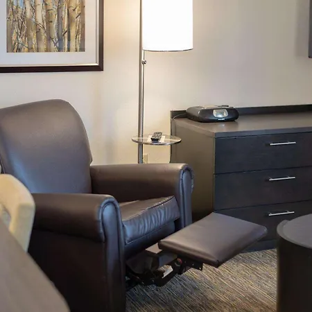 Sonesta Simply Suites Arlington Entertainment District-3