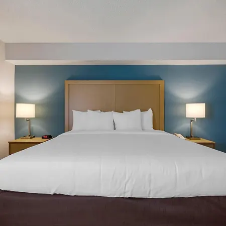 Comfort Inn & Suites Alexandria West-3