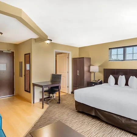 Mainstay Suites Jacksonville Near Camp Lejeune-3