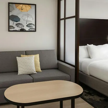 City Express By Marriott Orlando International Drive-2