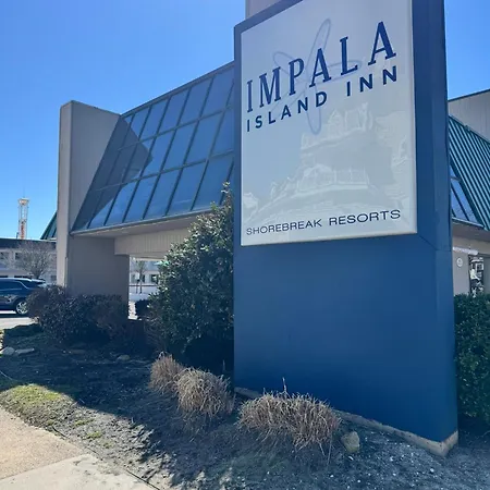 Impala Island Inn-2