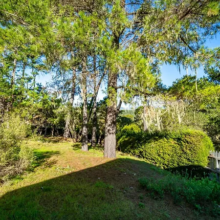 Cambria Pines Lodge-3