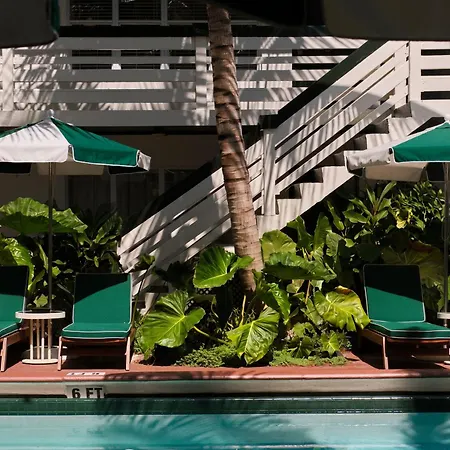 Perroquet Hotel-3