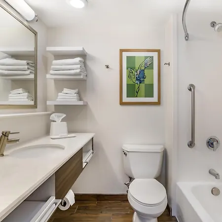 Hampton Inn Tampa International Airport/Westshore-3