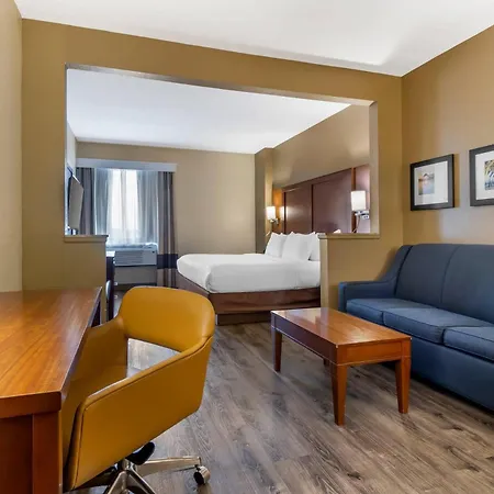 Comfort Suites At The University-2