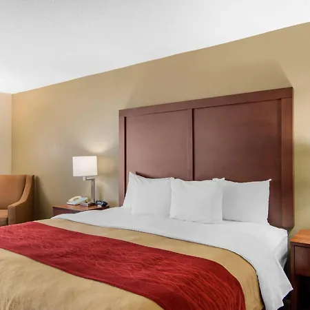 Comfort Inn Chester - Richmond South-3