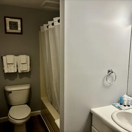 Misty Harbor Resort-2