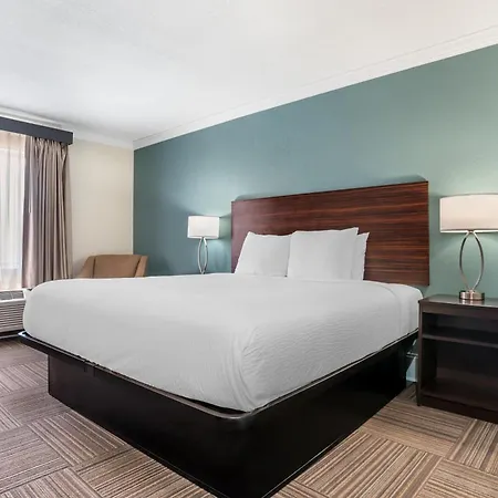 Best Western Niceville-Destin-3