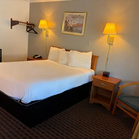 Lark Motel Willits-3
