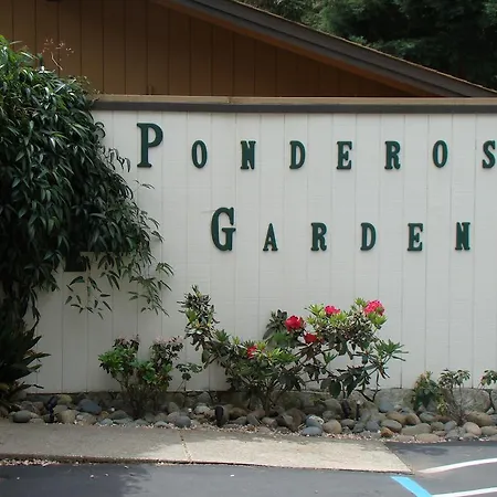 Ponderosa Gardens Motel-3