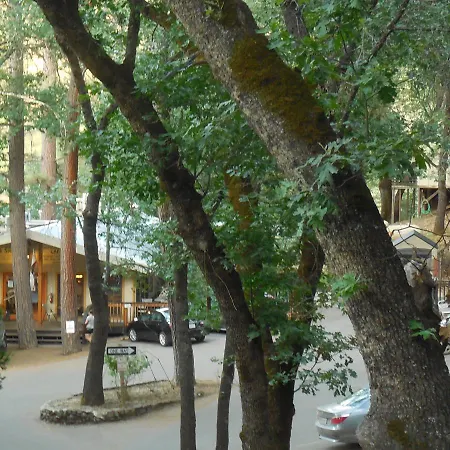 Yosemite Bug Rustic Mountain Resort-2