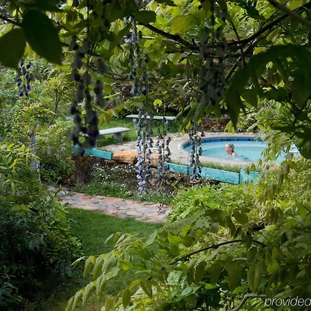 Vichy Springs Resort-3
