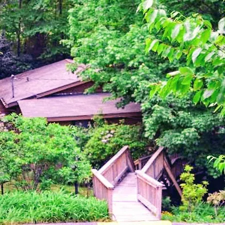 Mitchells Lodge And Cottages-2