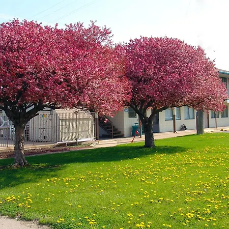 Quad City Inn-3