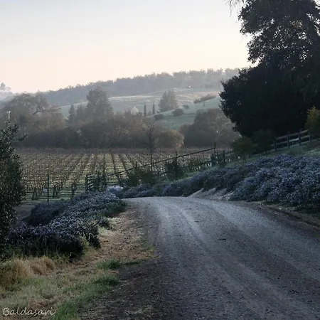 The Eden House Vineyard-2