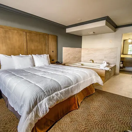 Willow Tree Inn Los Angeles- Near Stub Hub Center-2