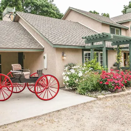 The Eden House Vineyard-3