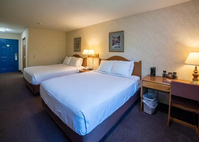 Willabee'S Motel Brimley, United States