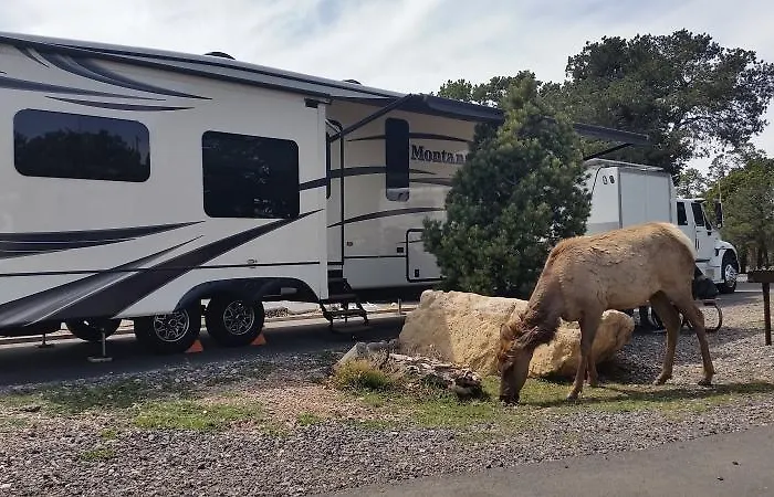 Trailer Village Rv Park Grand Canyon Village, USA