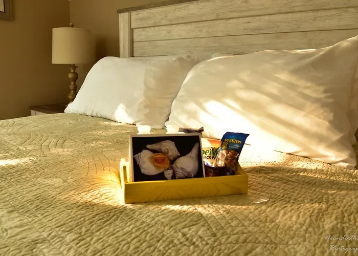 The Yellow Rose Of Talbot Bed And Breakfast