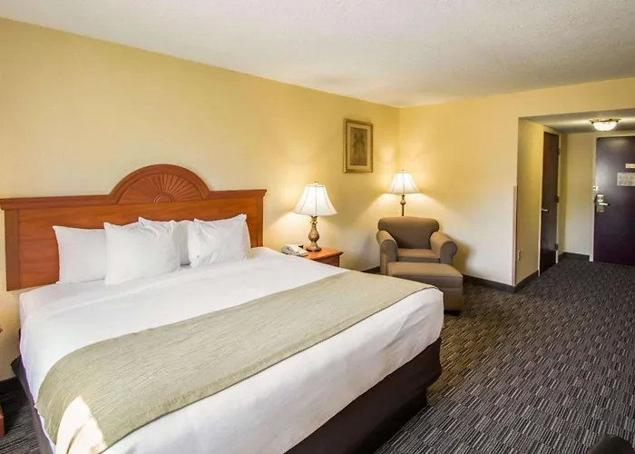 Comfort Inn & Suites I-95