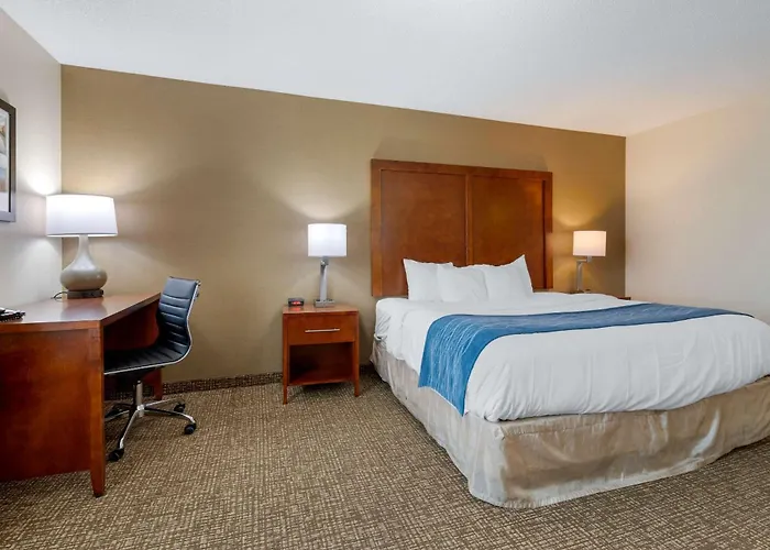 Comfort Inn Anderson South, United States