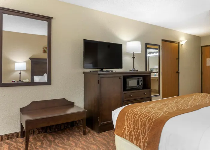 Comfort At Thousand Hills