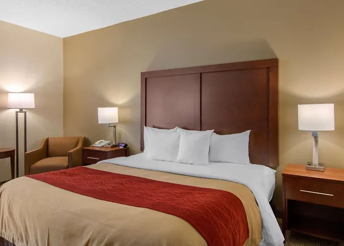 Comfort Inn Chester - Richmond South, United States