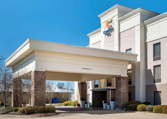 Comfort Inn Pearl-Jackson, United States