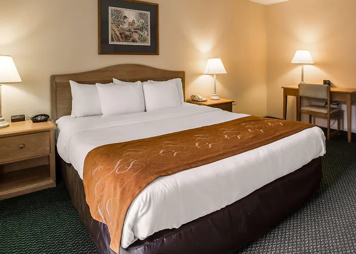 Super 8 By Wyndham