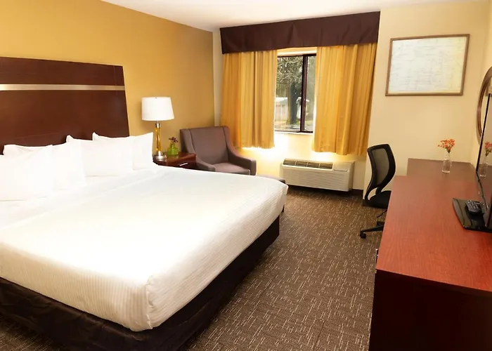 Ponderosa Inn