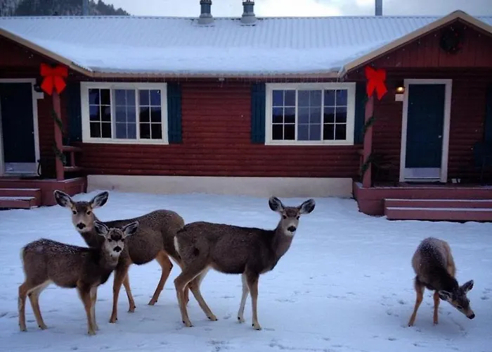 Three Bears Lodge Red River, United States