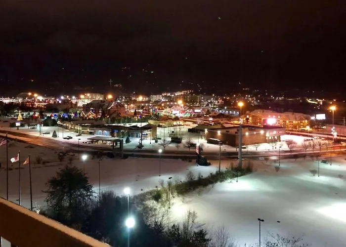 Vista Suites Near Island And Leconte Convention Center